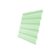 Профнастил С20А 0,45 PE RAL 6019 бело-зеленый