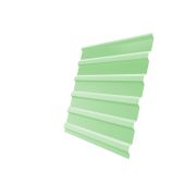 Профнастил С20В 0,45 PE RAL 6019 бело-зеленый
