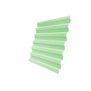 Профнастил С21R 0,45 PE RAL 6019 бело-зеленый