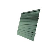 Профнастил С10R 0,45 PE RAL 6019 бело-зеленый