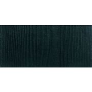 Сайдинг CEDRAL wood (под дерево) С19