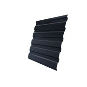 Профнастил С20A 0,4 PE-double RAL 7024 мокрый асфальт