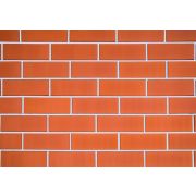 Кирпич облицовочный Керма красный 1 УС гладкий 250х120х65 М175 F100