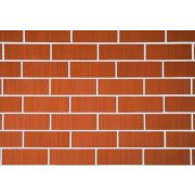 Кирпич облицовочный Керма красный 0,7 рустик 250х85х65 М175 F75