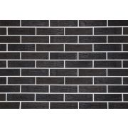 Кирпич Black Powder 0,7 250х85х88 М200 F100