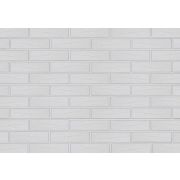Кирпич White Powder 0,7 250х85х88 М200 F100