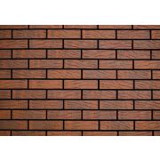 Кирпич Fusion Strong 0,7 250х85х65 М200 F100