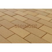 Плитка тротуарная Steingot Прямоугольник (фаска 1,5мм) 200х100х60мм желтый частичный прокрас