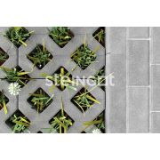 Решетка газонная Steingot 600х400х100мм серый полный прокрас