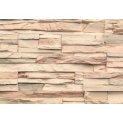 Рядовая плитка Дигория 1-20-04 без расшивки, норма упаковки 0,36 м2